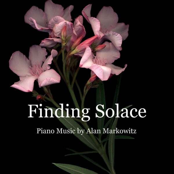 Cover art for Finding Solace